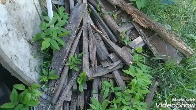 Огородные хлопоты посадил картошку