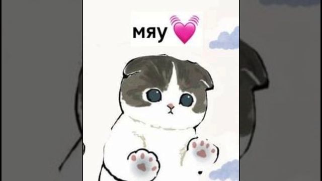 Котик котик мяу мяу