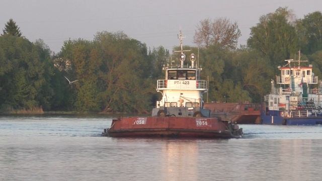 Буксиры-толкачи БТМ-530 с баржей 1262 и РТ-423 с баржей 7058 ра