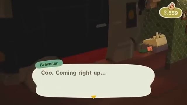 Tom Nook Hates These, but Isabelle Loves Them
