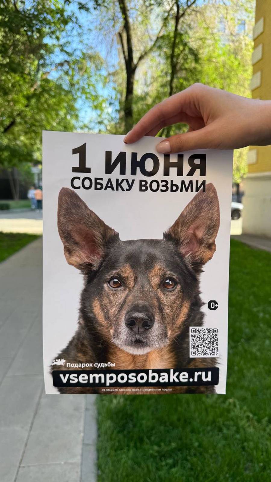 📢Барни едет на выставку 🐶