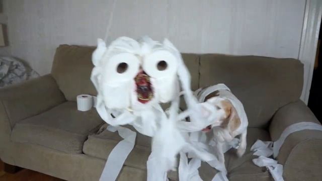 Dog vs Evil Toilet Paper Zombie Prank: Funny Dog Maymo