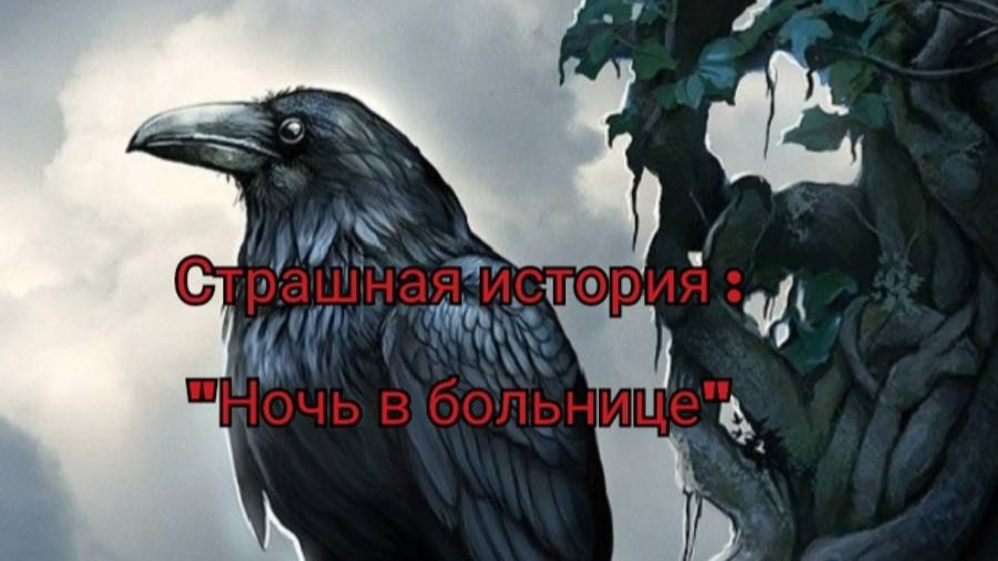 Страшилка на ночь : Ночь в больнице. Читает  : Ворона