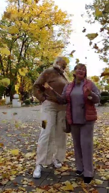 VID-20241101-WA0078.mp4