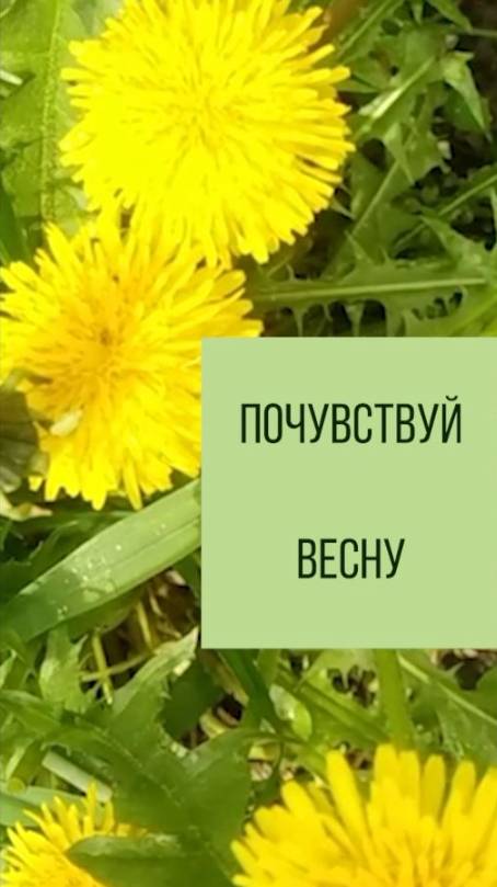 Почувствуй весну