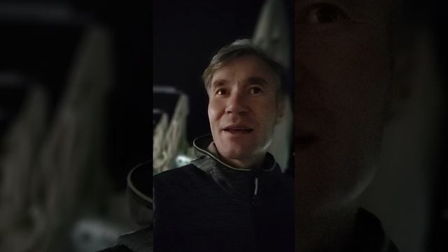 ‼️Инсайт дня: Всё и так принадлежит мне и поэтому нет потребности присваивать ❤️

Когда ты Духовно
