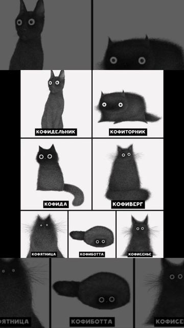 Мемы про котиков