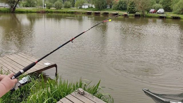 Светлые Горы Карп 30.05.2025г.