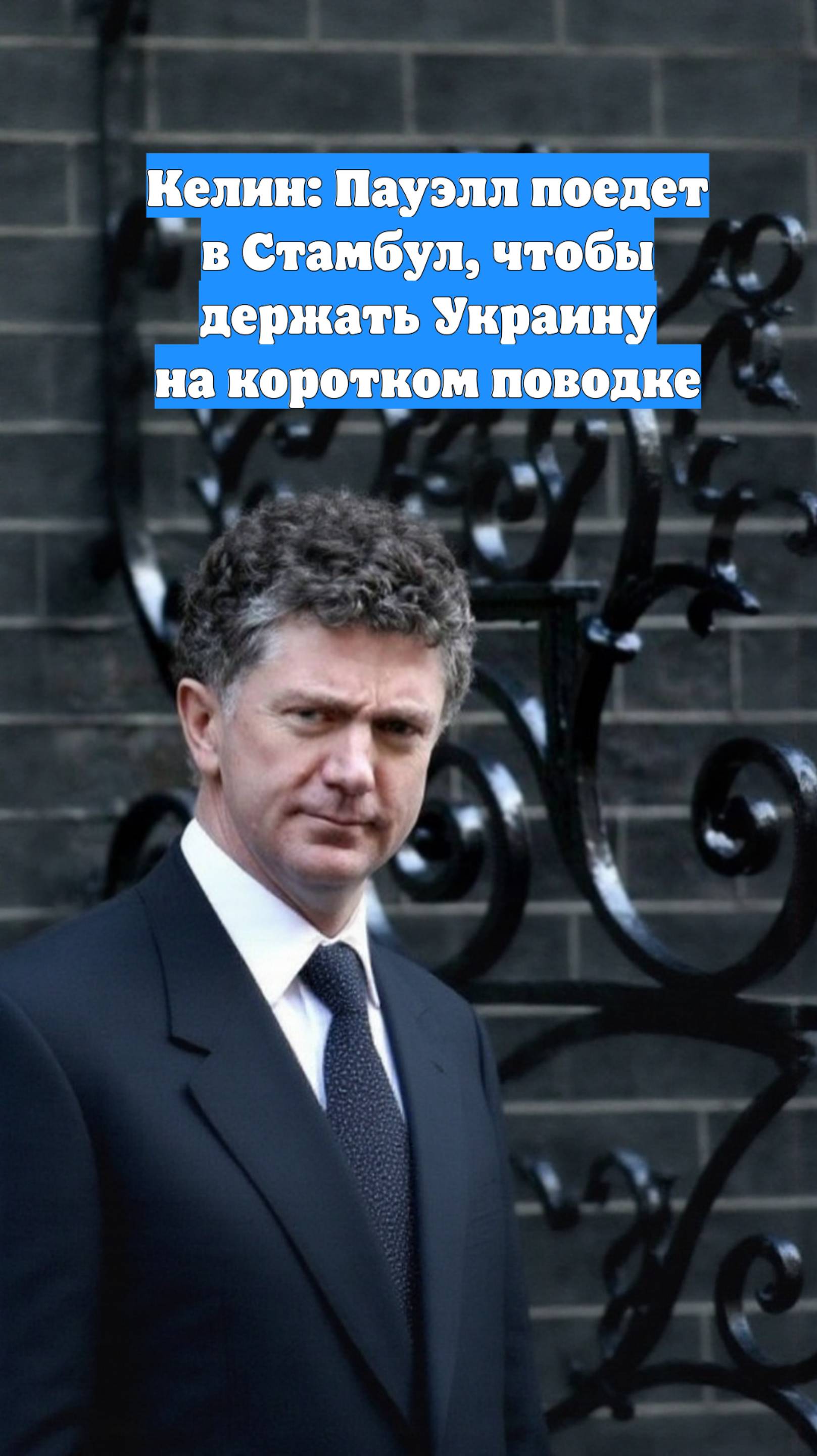 Келин: Пауэлл поедет в Стамбул, чтобы держать Украину на коротком поводке