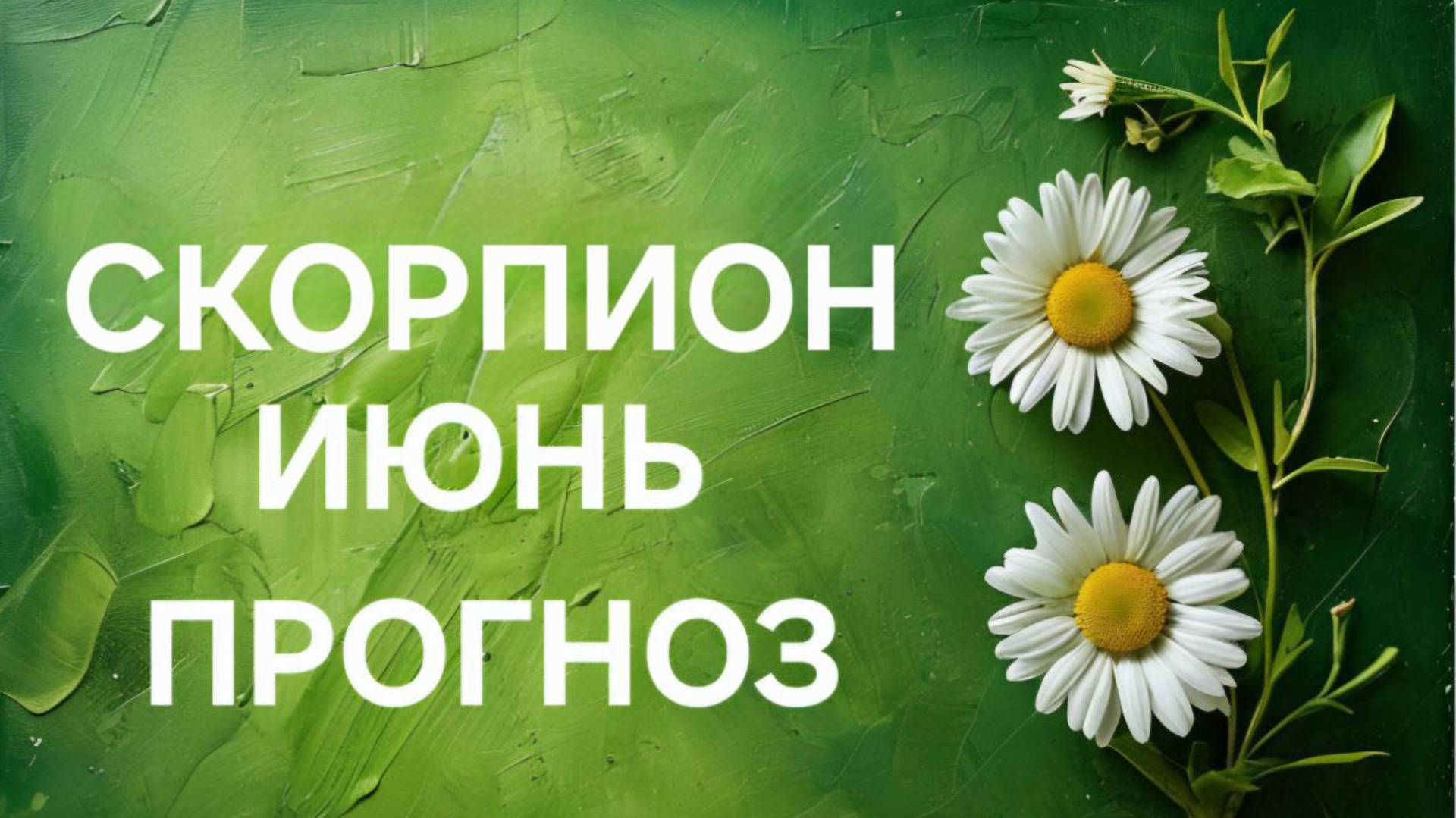 СКОРПИОН. ТАРО ПРОГНОЗ НА ИЮНЬ