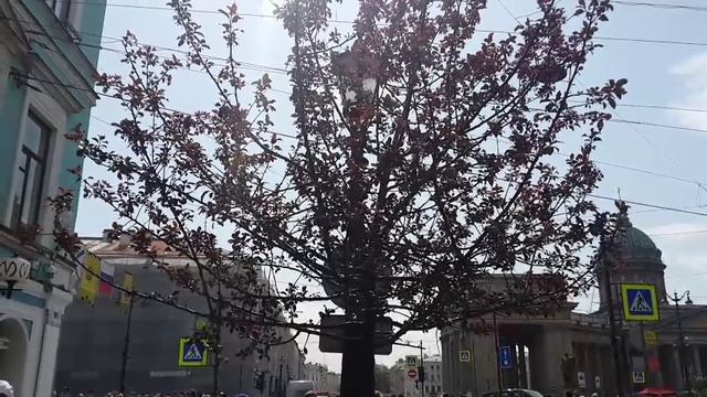 VID-20250530-WA0027