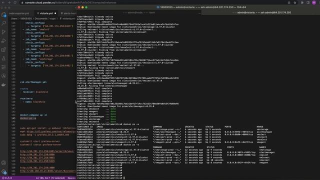 Установка VictoriaMetrics cluster в Docker