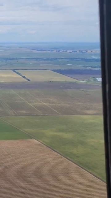 АН-2 ✈️  🌽🌽рузник #russia #aviation #trending #trendingshorts