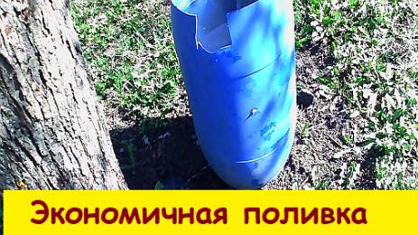 Экономичная поливка