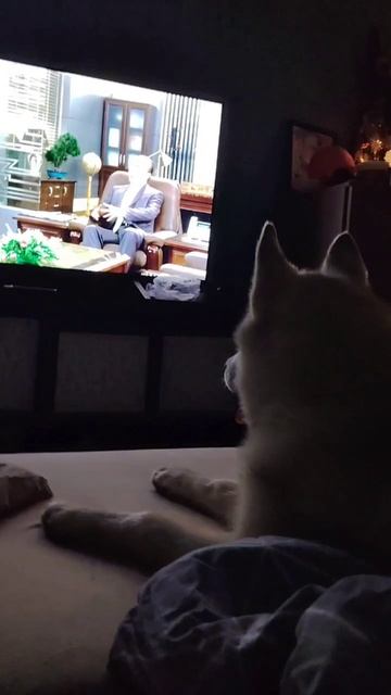 И так каждый вечер 😊