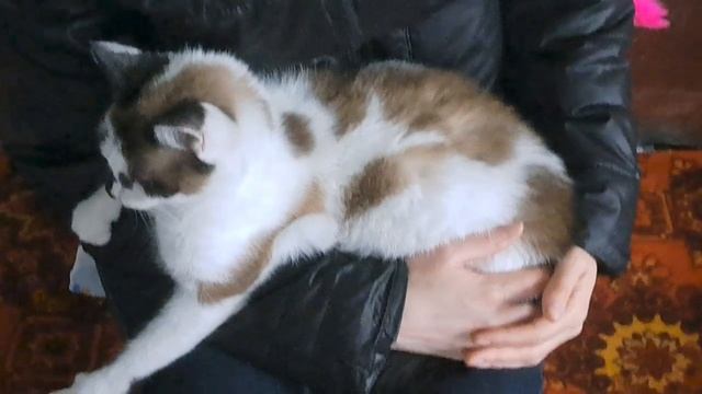 1000056587.mp4