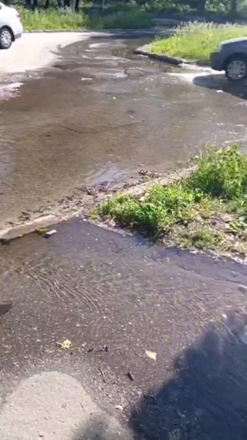 На Шолмова, 9 коммунальная авария, вода, вода, кругом вода.