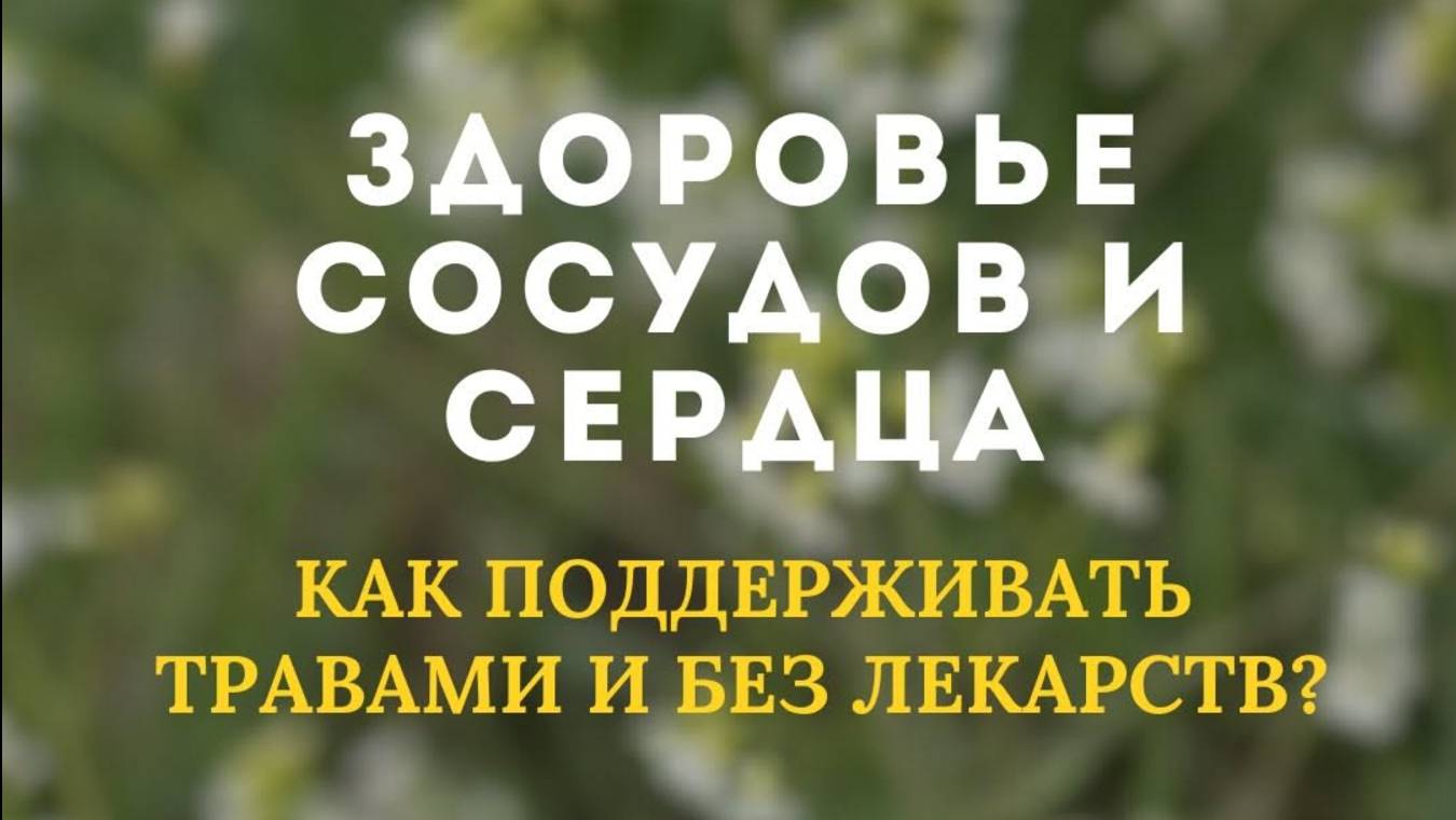 Здоровье сосудов и сердца