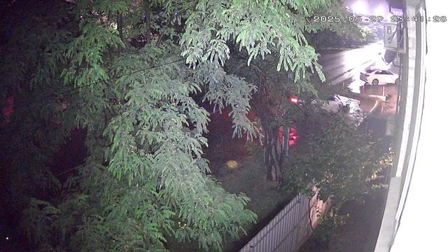 Незаконная торговля после 23.00