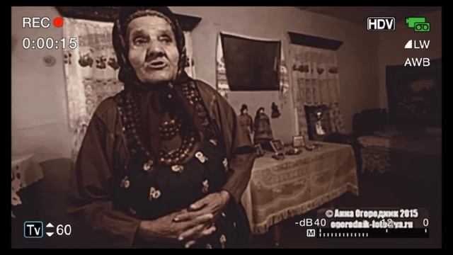 БАБУШКА ЗАЧИТАЛА РЕП