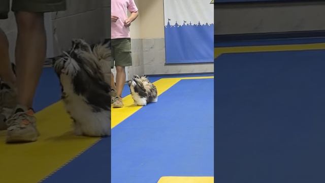 lv_0_20250529134110.mp4