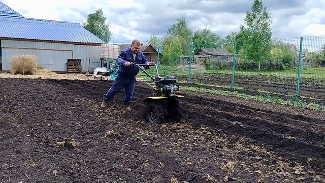 Месячный обзор. Новости с огорода.