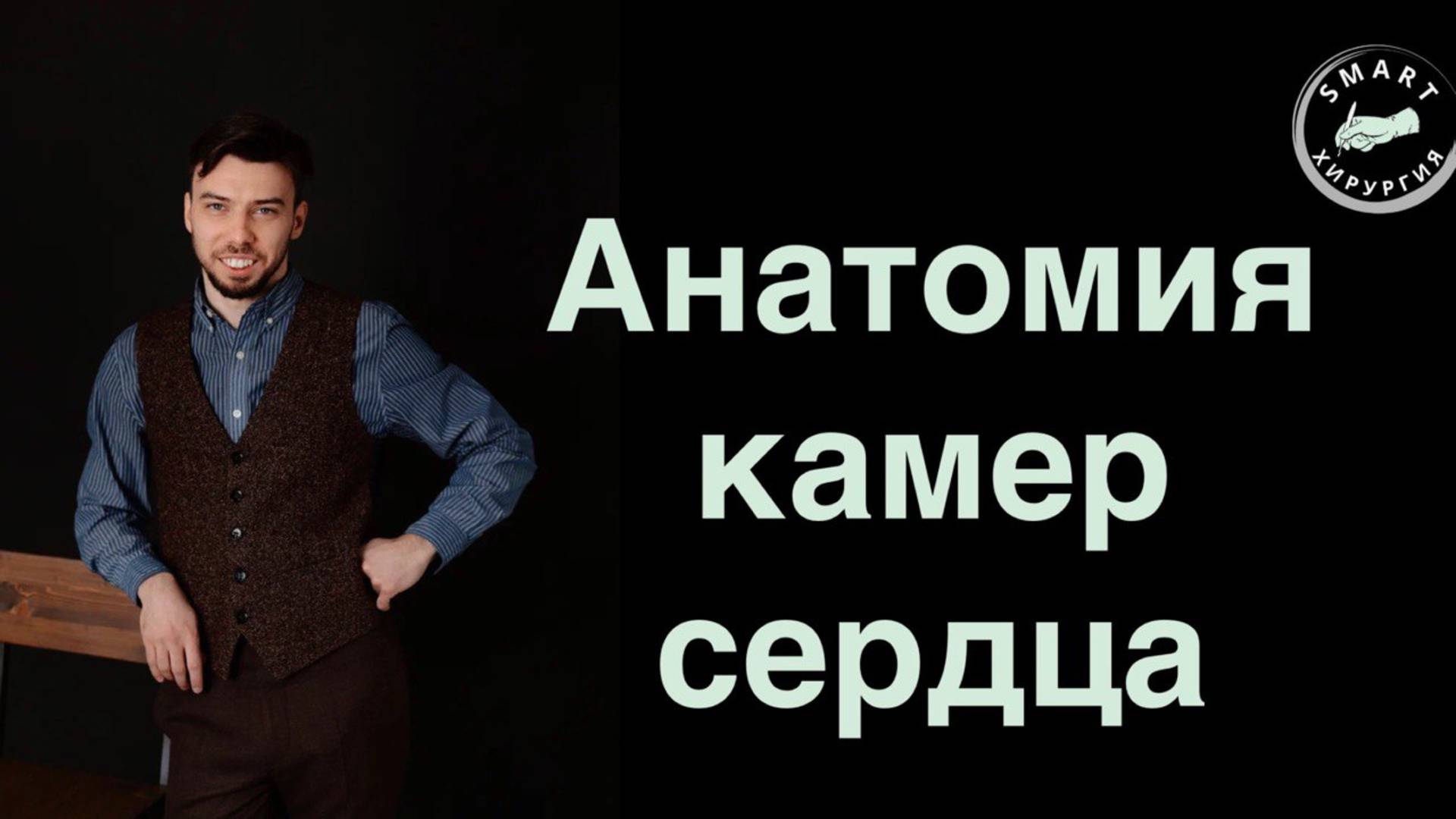 Анатомия камер сердца