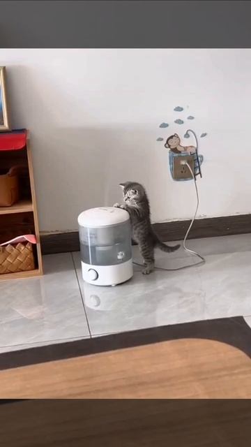 Замучил сушняк😂