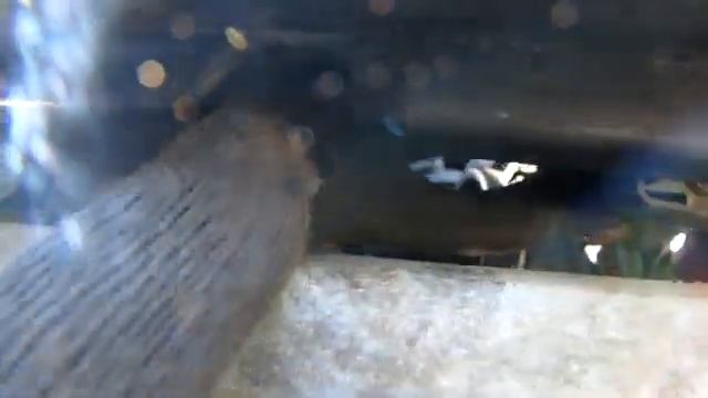 Снятие основного радиатора
