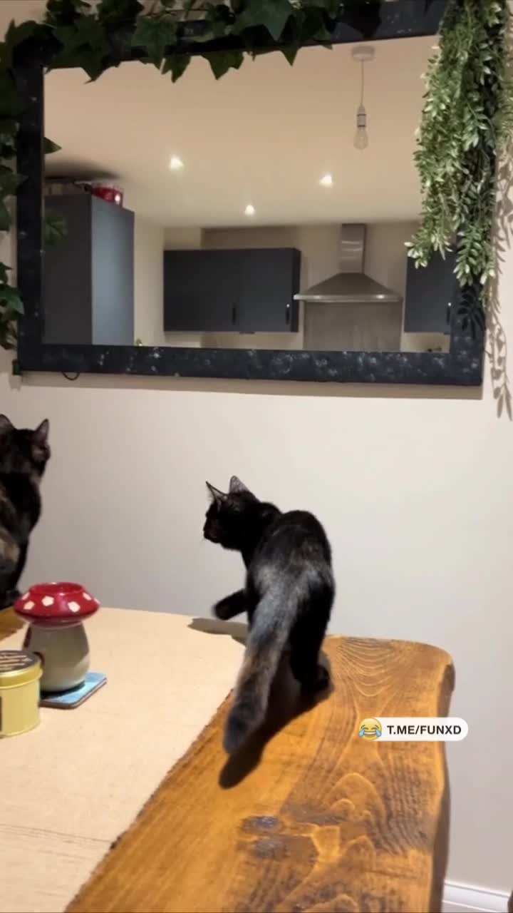 Он же предупреждал..😁
