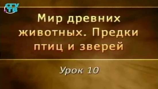 Предки птиц и зверей # 10. Мезозойские млекопитающие