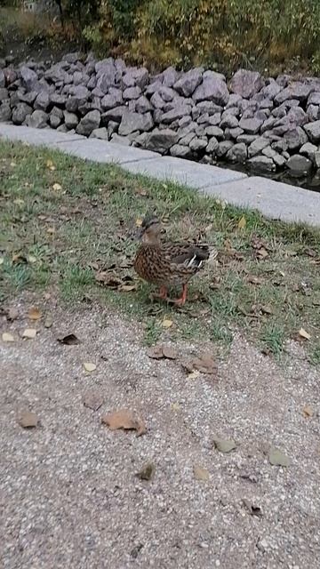 VID_20220919_153557