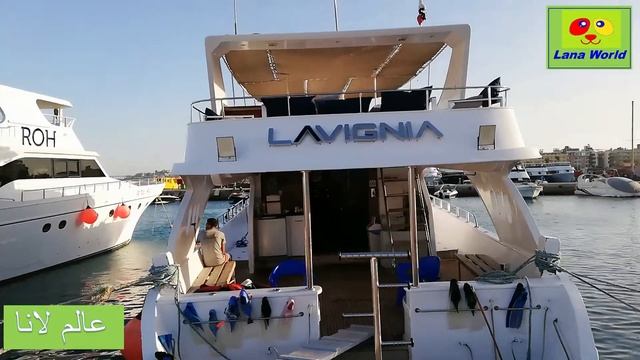 All Yachts In Hurghada Marina, Все типы яхт в Хургаде Марина جميع ان?