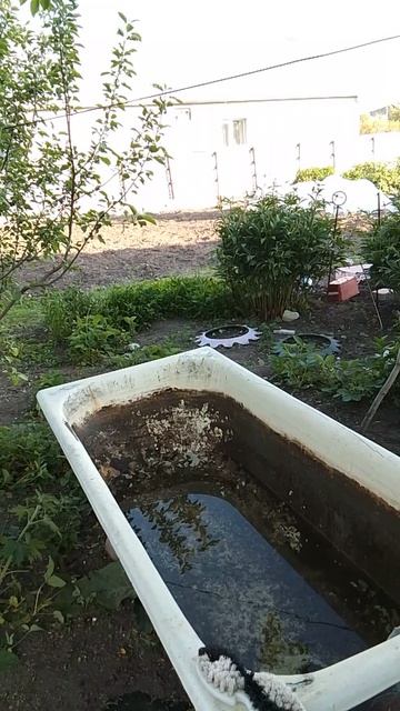 Напишите  чем почистить чугунную ванну.