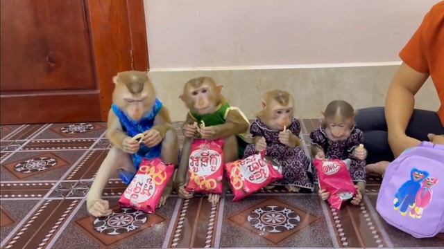 Обезьянок отряд куда идёт БОЛЬШОЙ СЕКРЕТ РАСКРЫВАЕМ С перекуса уроки начинаем ВЕСЕЛУХА