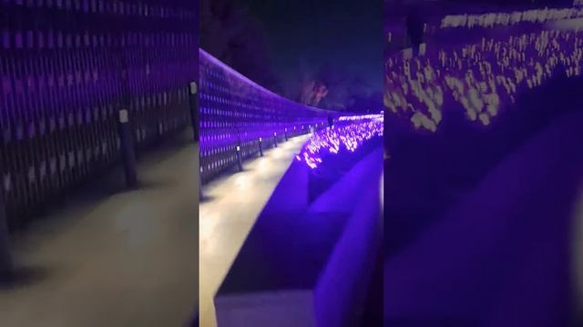 Краснодар. Парк Галицкого