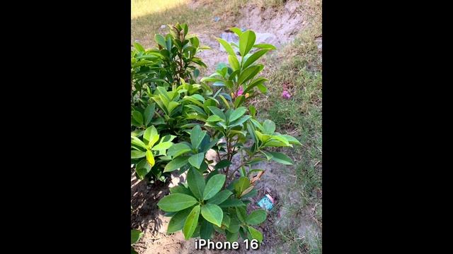 Redmi Turbo 4 Pro vs iPhone 16 - сравнение камер в реальной жизни