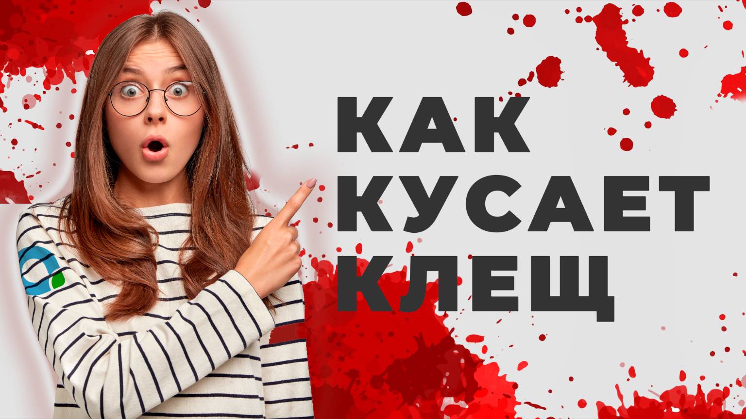 Что происходит после укуса КЛЕЩА