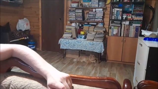 Жизнь в загородном🏡доме/Хроника Домашнее🫠видео/Мой