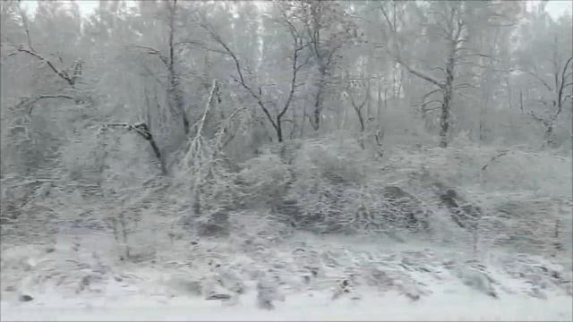 Шум поезда для сна #шумпоезда