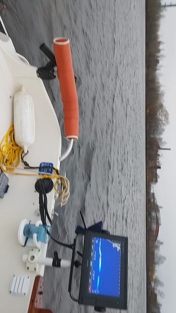 VID_20241108_152230