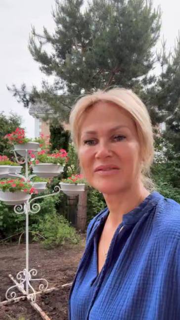 Петуниевое дерево нашло наконец свое место жительства!