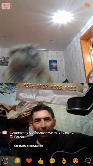 птицы не люди