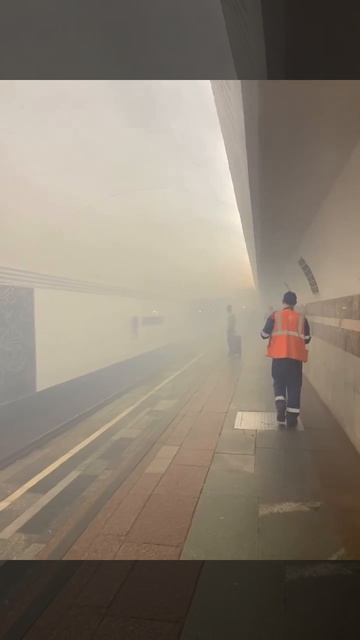 😶🌫️ На «Таганской» фиолетовой ветки метро задымление на платформе, сообщают очевидцы.