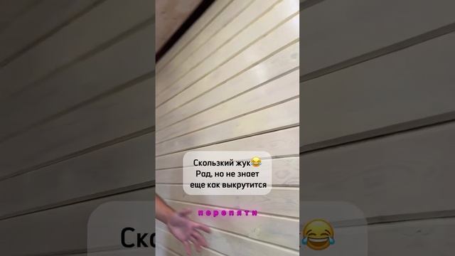 3967861405998872736