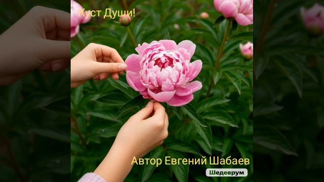 Куст Души! Автор Евгений Шабаев 
#хит #топ #музыка #любовь