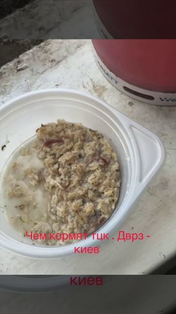 Свинячья каша для бусифицированных нерабов