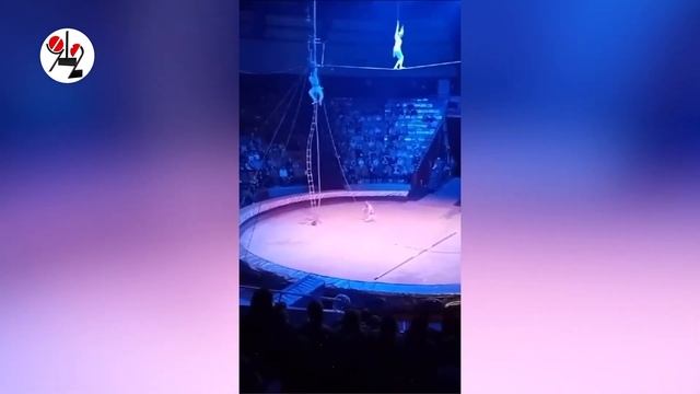 Канатоходец рухнул на манеж