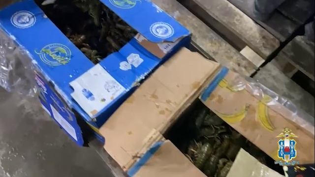 В РО возбуждено уголовное дело по факту незаконного оборота живых водных биоресурсов