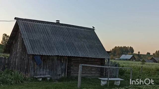 Сорокины разговоры.